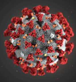Detail of a coronavirus particle with red spikes on its edge.